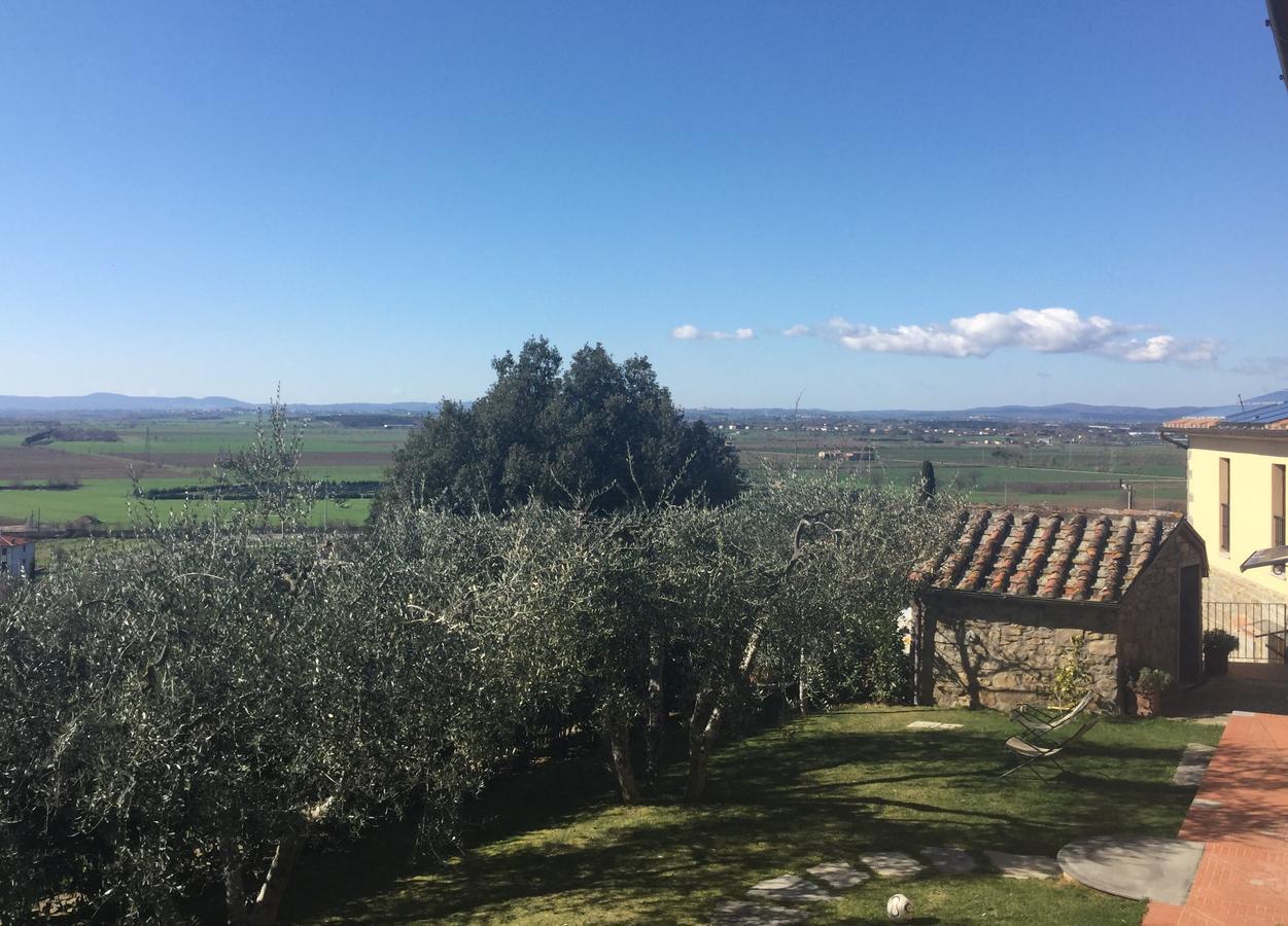 Agriturismo Borgo Tra Gli Olivi كاستيجليون فيورنتينو المظهر الخارجي الصورة