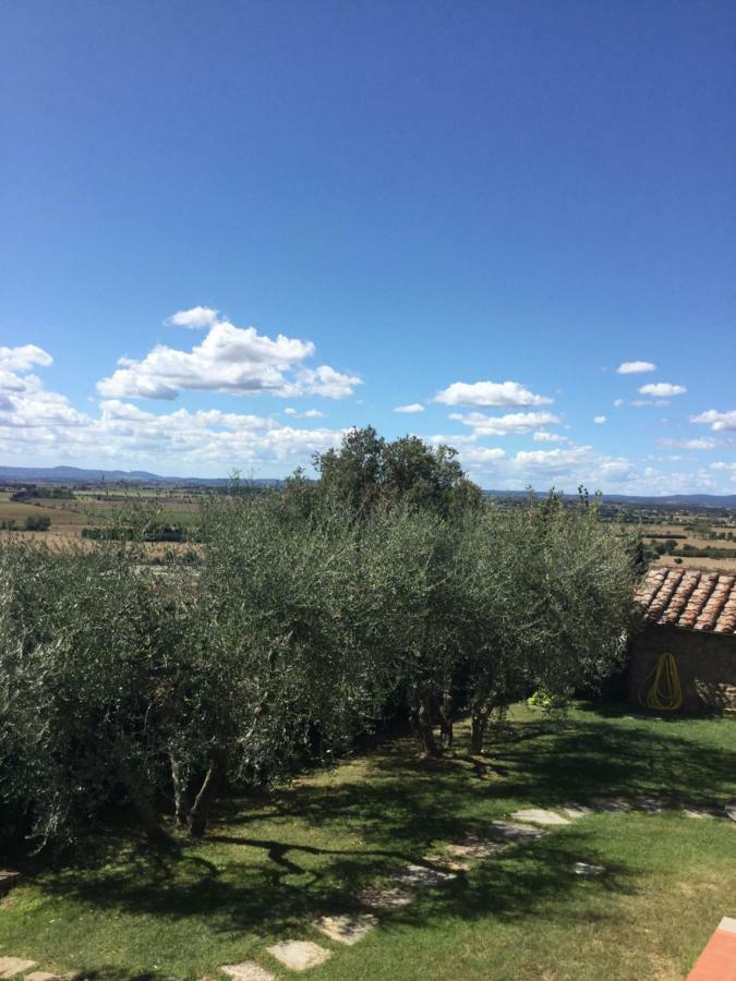 Agriturismo Borgo Tra Gli Olivi كاستيجليون فيورنتينو المظهر الخارجي الصورة